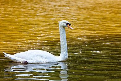 Switch版《尼尔：机械纪元》性能参数公布 主机模式有1080p