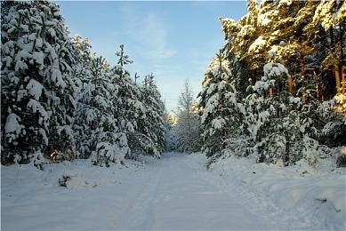 《上古卷轴5》周年纪念版升级概述预告片分享